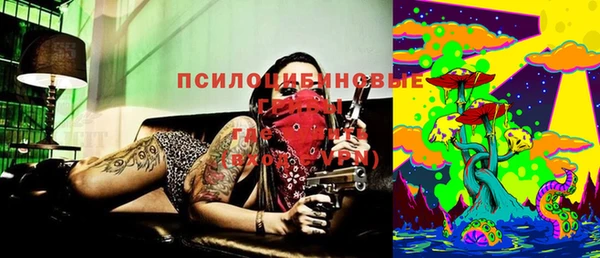 круглые Дмитриев