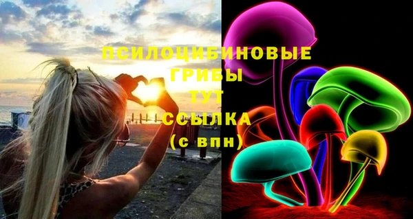 круглые Дмитриев