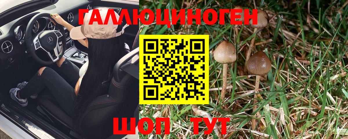 Псилоцибиновые грибы мицелий  Псилоцибиновые грибы Psilocybine cubensis  Кушва  Вход с VPN 
